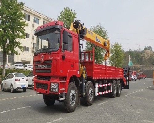 SHACMAN F3000 8X4 CRANE